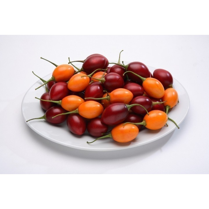 Tamarillo (Cyphomandra betacea) - 234.57915