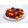 Price: €1.5 - Graines Tamarillo, Tomates en Arbre - 