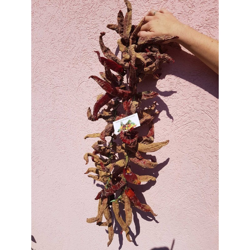 Price: €1.95 - Semi di peperoncino Vezanka vecchia varietà dalla Serbia - Seeds Gallery