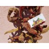 Price: €1.95 - Vezanka Ljuta Paprika Seme - Seeds Gallery