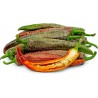 Price: €1.95 - Sementes pimenta Vezanka antigo variedade sérvio - Seeds Gallery