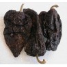 Price: €2 - Seme Cilija - Chili ANCHO MULATO POBLANO - Seeds Gallery