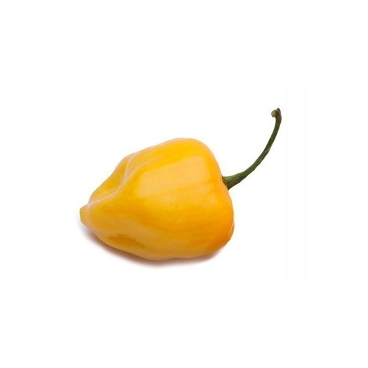 Big Sun Habanero Seeds - Yellow Sun - 258.037065