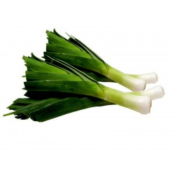 Price: €1.95 - Sementes de Alho Porro Elefante - 