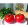 Sementes de Tomate Marglobe