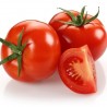 Price: €1.65 - Graines de Tomate Marglobe - 