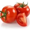 Semi di pomodoro Marglobe