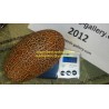 Price: €1.55 - Sikkim gurka frön - Seeds Gallery