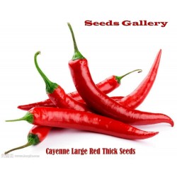 Price: €1.95 - Semillas de Pimiento Cayenne Thick - Seeds Gallery