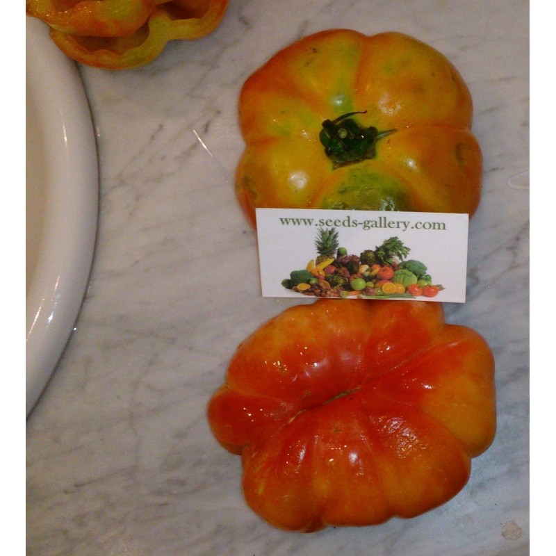 Spanska tomatfrön Montserrat