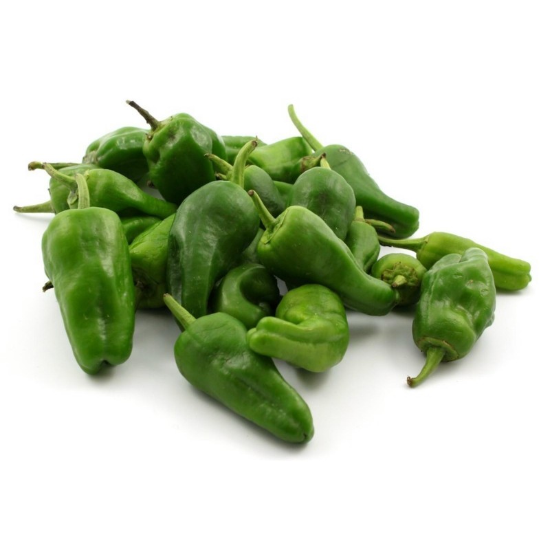 Chili Frön Del Padron (Capsicum Annuum)