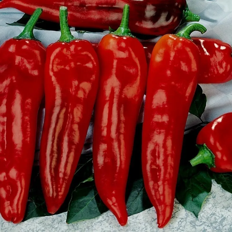 Corno di Toro Rosso Sweet Pepper Seeds