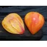 Orange Russian Tomato Seeds