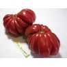 Price: €1.95 - Seme Paradajza Pink Accordion - Seeds Gallery