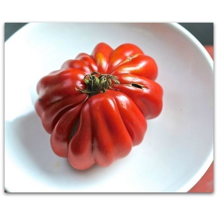 Pink Accordion Tomato Seeds - 228.714671