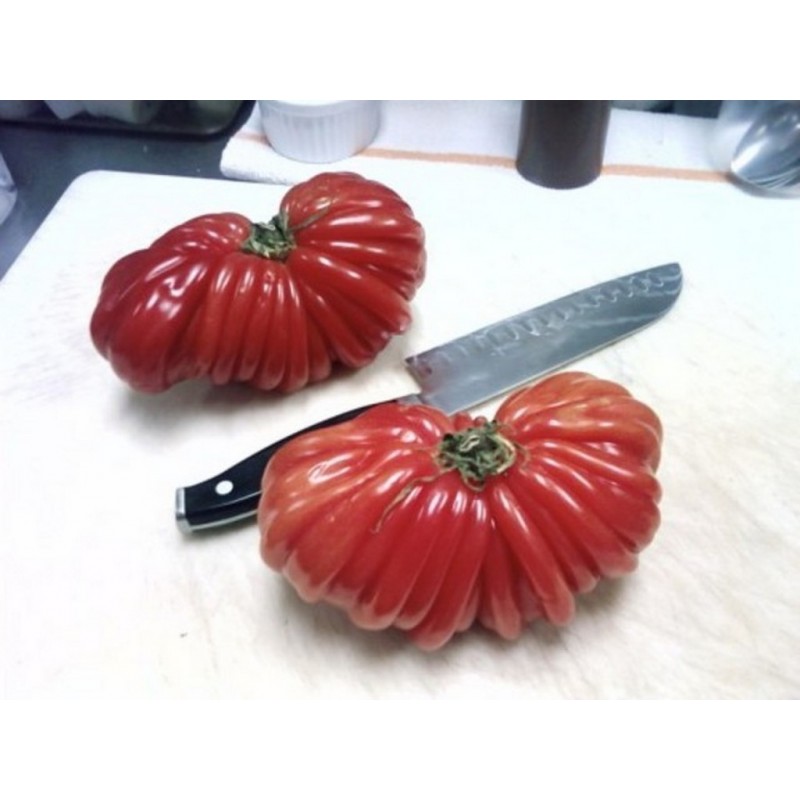 Price: €1.95 - Semillas de tomate Pink Accordion - Seeds Gallery
