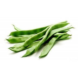 Price: €1.55 - Σπόροι Φασόλι Cer Starozagorski - Seeds Gallery