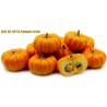 Price: €2 - JACK BE LITTLE Seme Mini bundeve - Seeds Gallery