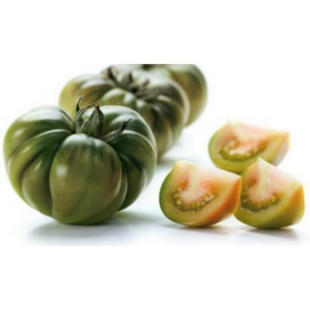 Price: €2.049999 - Tomatfrön RAF - Seeds Gallery