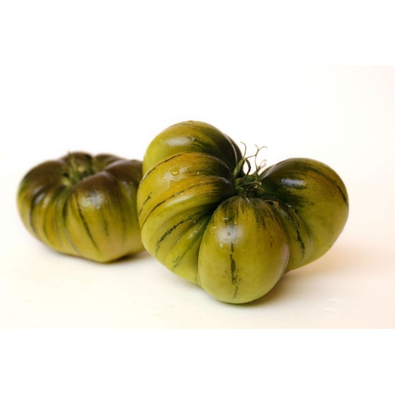 Graines de tomate RAF