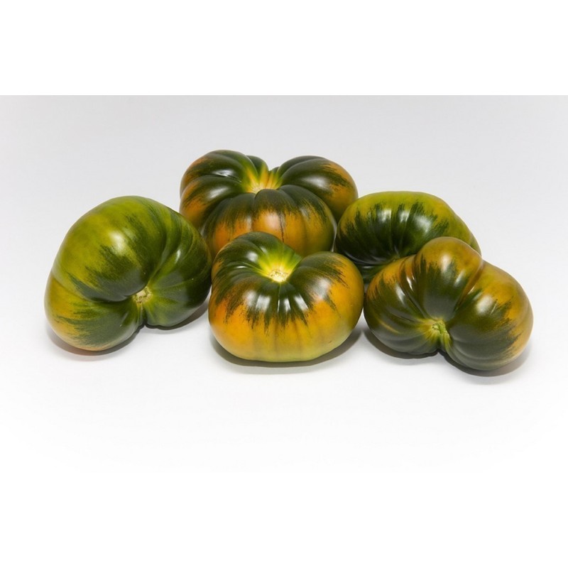 Graines de tomate RAF