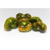 Raf Tomaten Samen