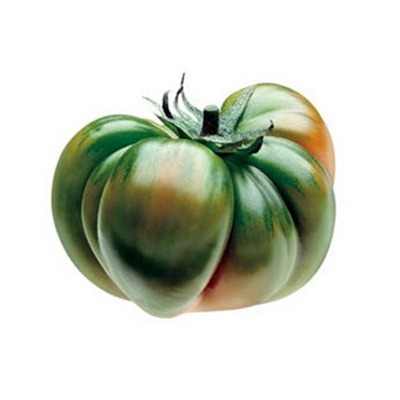 Price: €2.049999 - Tomatfrön RAF - Seeds Gallery