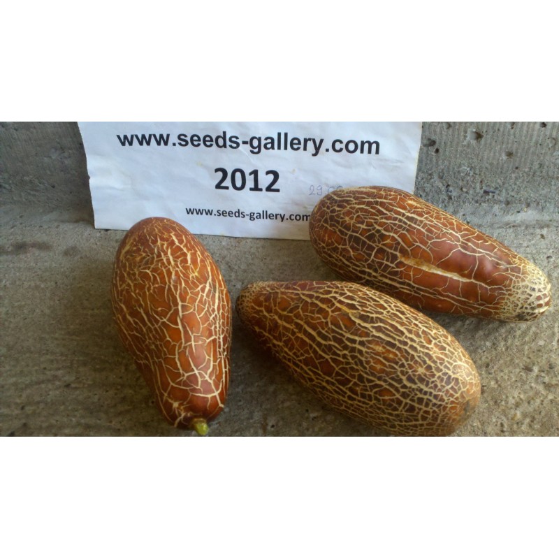 Price: €1.55 - Sikkim gurka frön - Seeds Gallery