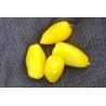 Graines de Tomate BOUGIE ROMAINE