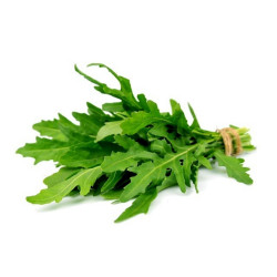 600 Seeds salad rocket, roquette, rucola, rugula - Price: €2.15