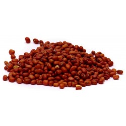 Kleine mexikanische rote Bohnen-Samen