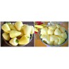 Price: €1.85 - Semi di Peperoncino Piccante Somborka - Seeds Gallery