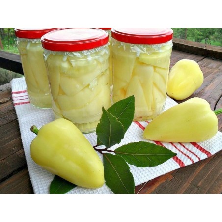 Price: €1.85 - Sementes de pimenta Somborka - Seeds Gallery