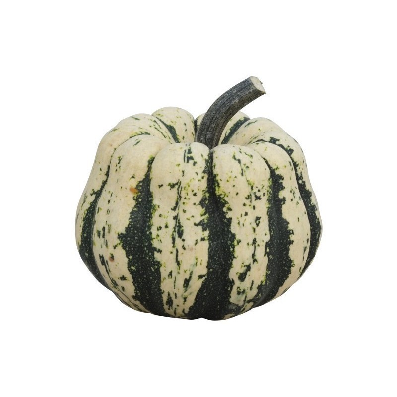 Price: €1.7 - Semillas de calabaza Cucurbita pepo "Sweet Dumpling" - 