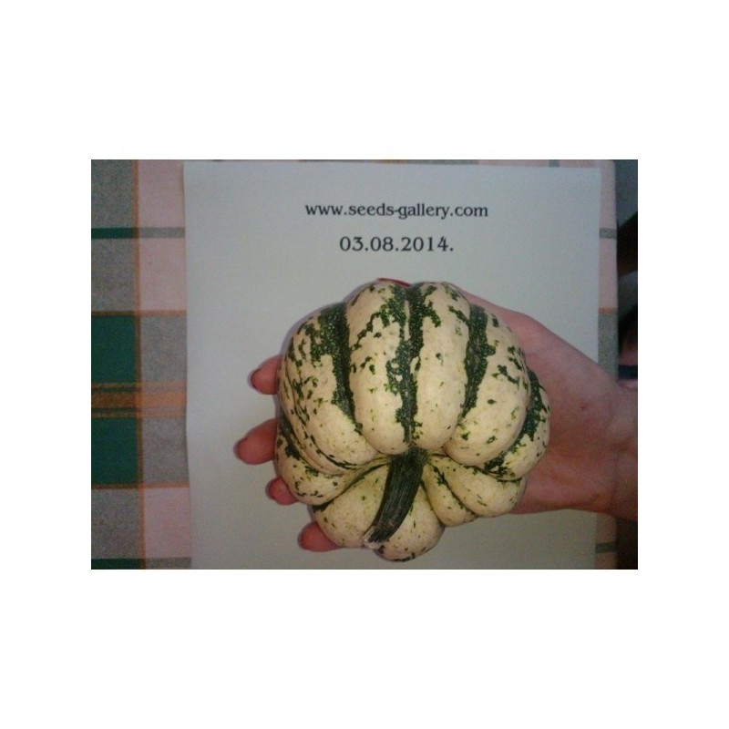 Price: €1.7 - Kürbis Samen "Sweet Dumpling" - 