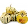 Price: €1.7 - Sementes de Abóbora Cucurbita pepo "Sweet Dumpling" - 