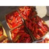 Price: €1.95 - Semillas de pimiento dulce Kurtovska Kapija - 