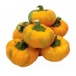 Price: €2.25 - Semillas de pimienta-dulce-roja ROTUND amarillo - 