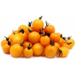 Sementes de Tomate Cereja Amarelo