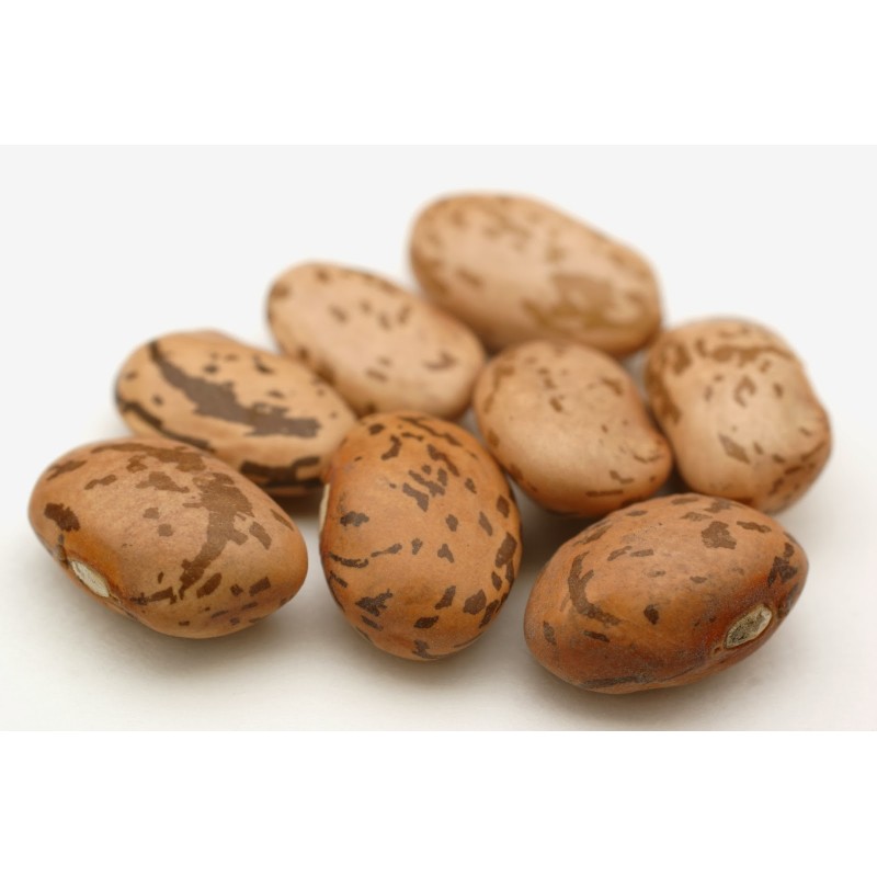 Price: €2 - Semillas de frijol Pinto - 