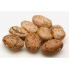 Price: €2 - Semillas de frijol Pinto - 