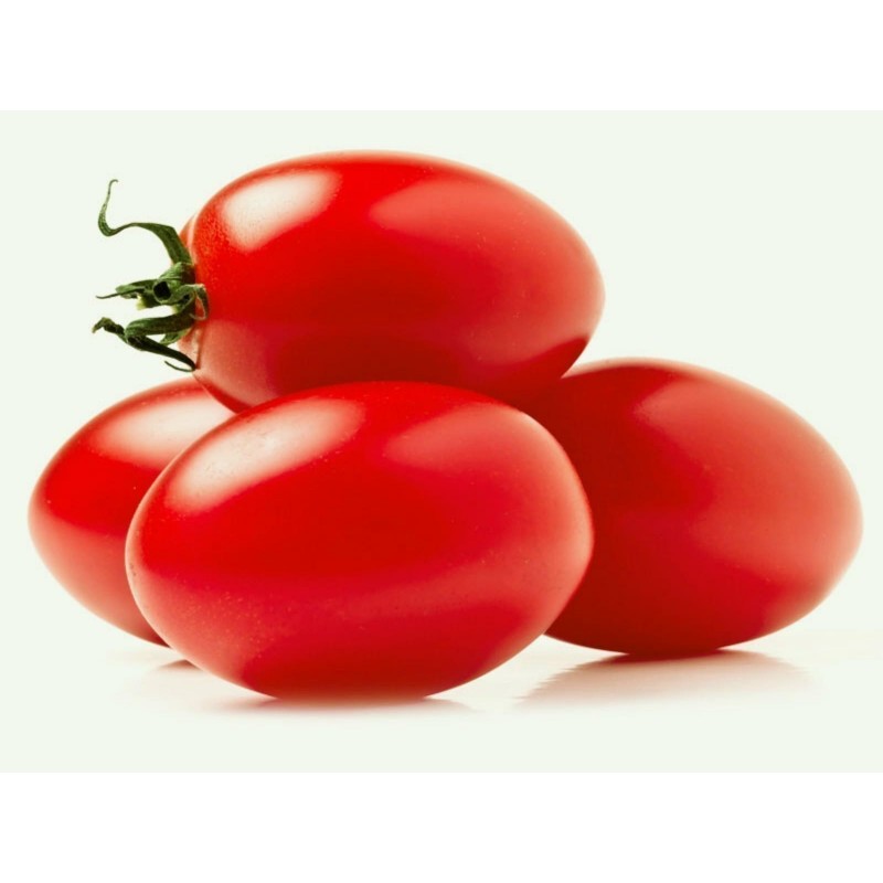 Price: €1.6 - Zomok tomatfrön -  - 1