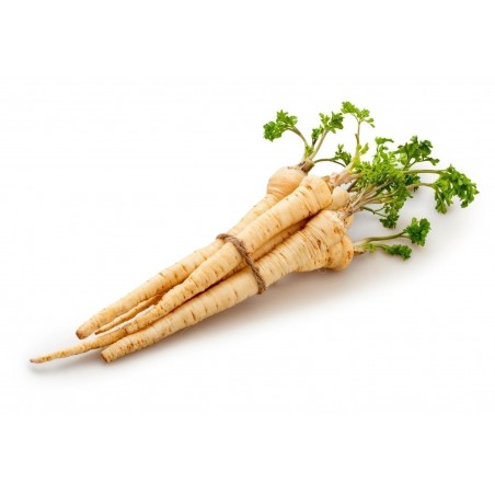 Price: €1.55 - Semenska Traka Persun Berlinski Snezno Beli -