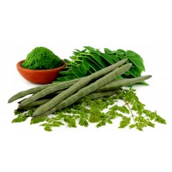 Price: €1.95 - Semillas de Moringa - Arbol Milagroso - Unbranded