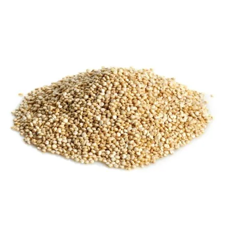 Quinoa Samen Rot oder Weiß (Chenopodium quinoa)