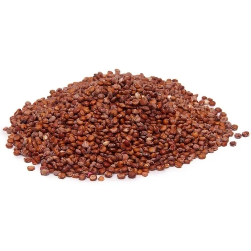 Quinoa Samen Rot oder Weiß (Chenopodium quinoa)