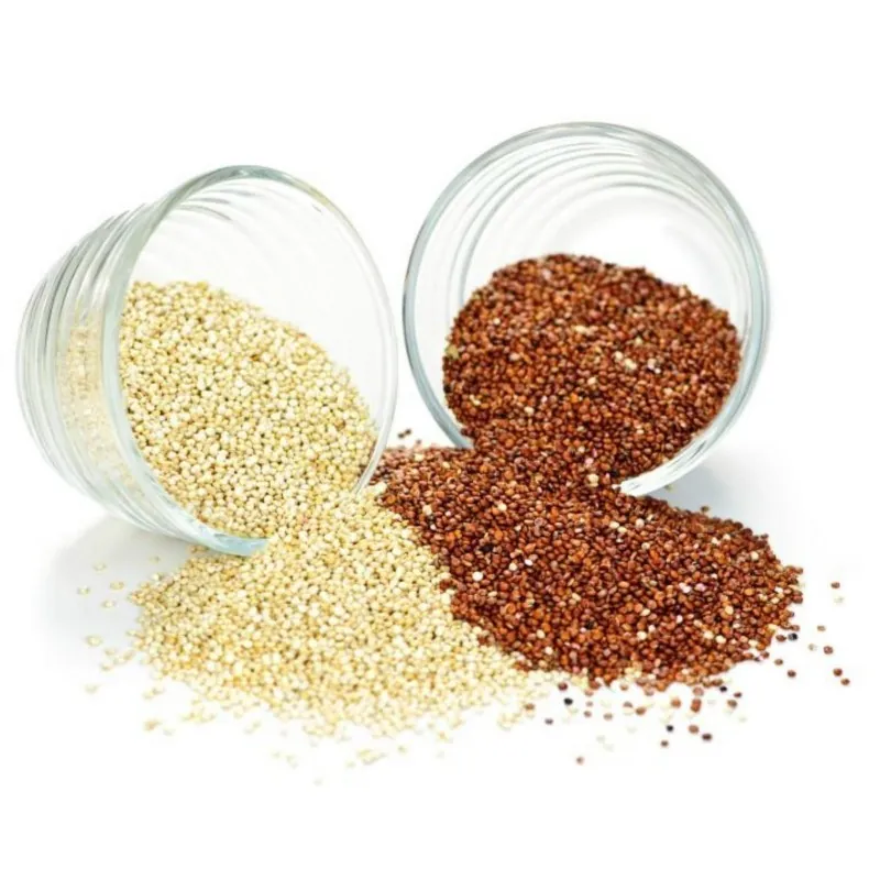Graines de QUINOA Rouge ou Blanc (Chenopodium quinoa)