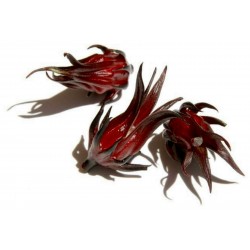 Price: €2.75 - Σπόροι Άνθη ιβίσκου Roselle (Hibiscus sabdariffa) - 