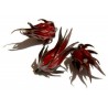 Price: €2.75 - Roselle Seeds - Edible and tasty (Hibiscus sabdariffa) - 
