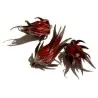Roselle Seeds - Edible and tasty (Hibiscus sabdariffa)